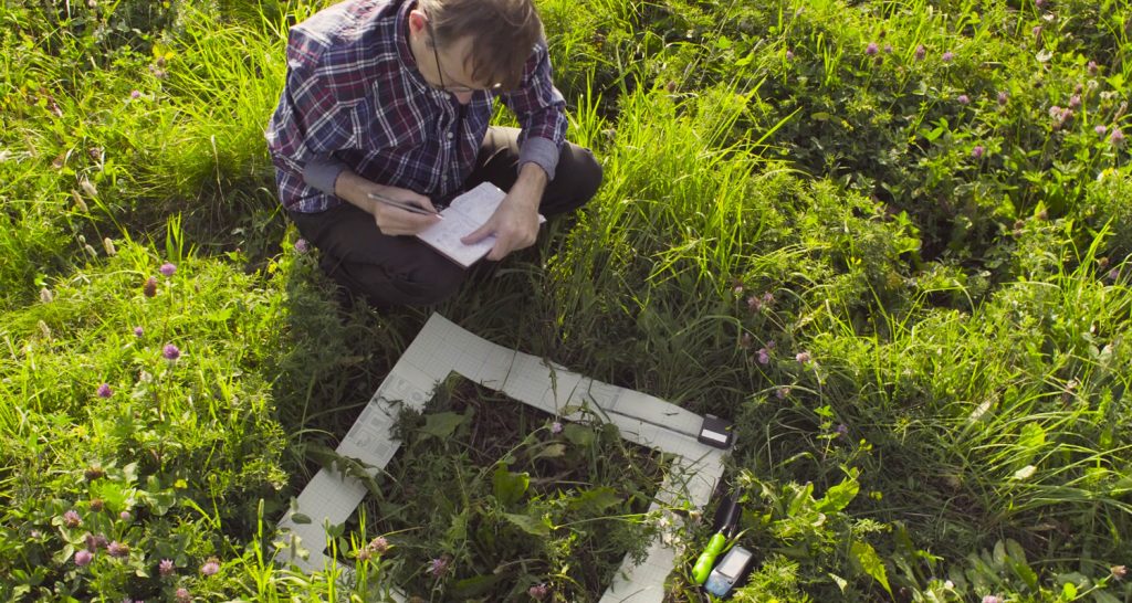 Ecologist kneeling in a meadow, recording plants inside a square survey frame